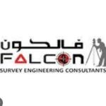 Falcon Survey