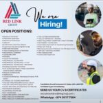 Redlink Group