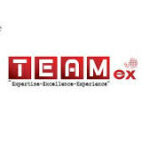 Teamex Global